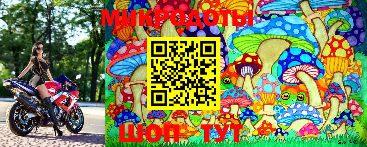 купить  цена  Галлюциногенные грибы Magic Shrooms  Вход с VPN  Сегежа 