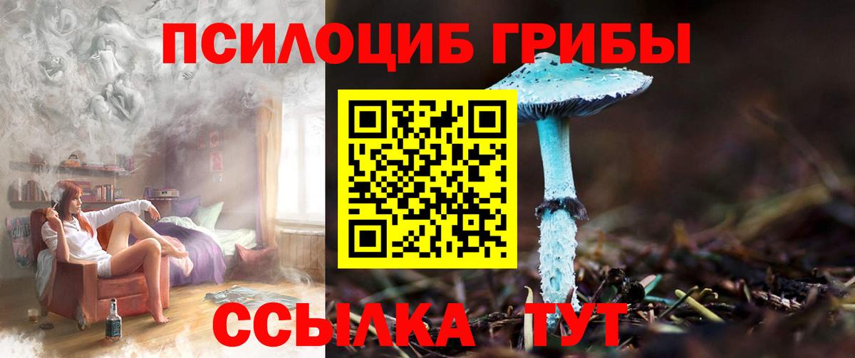 Псилоцибиновые грибы GOLDEN TEACHER Сегежа